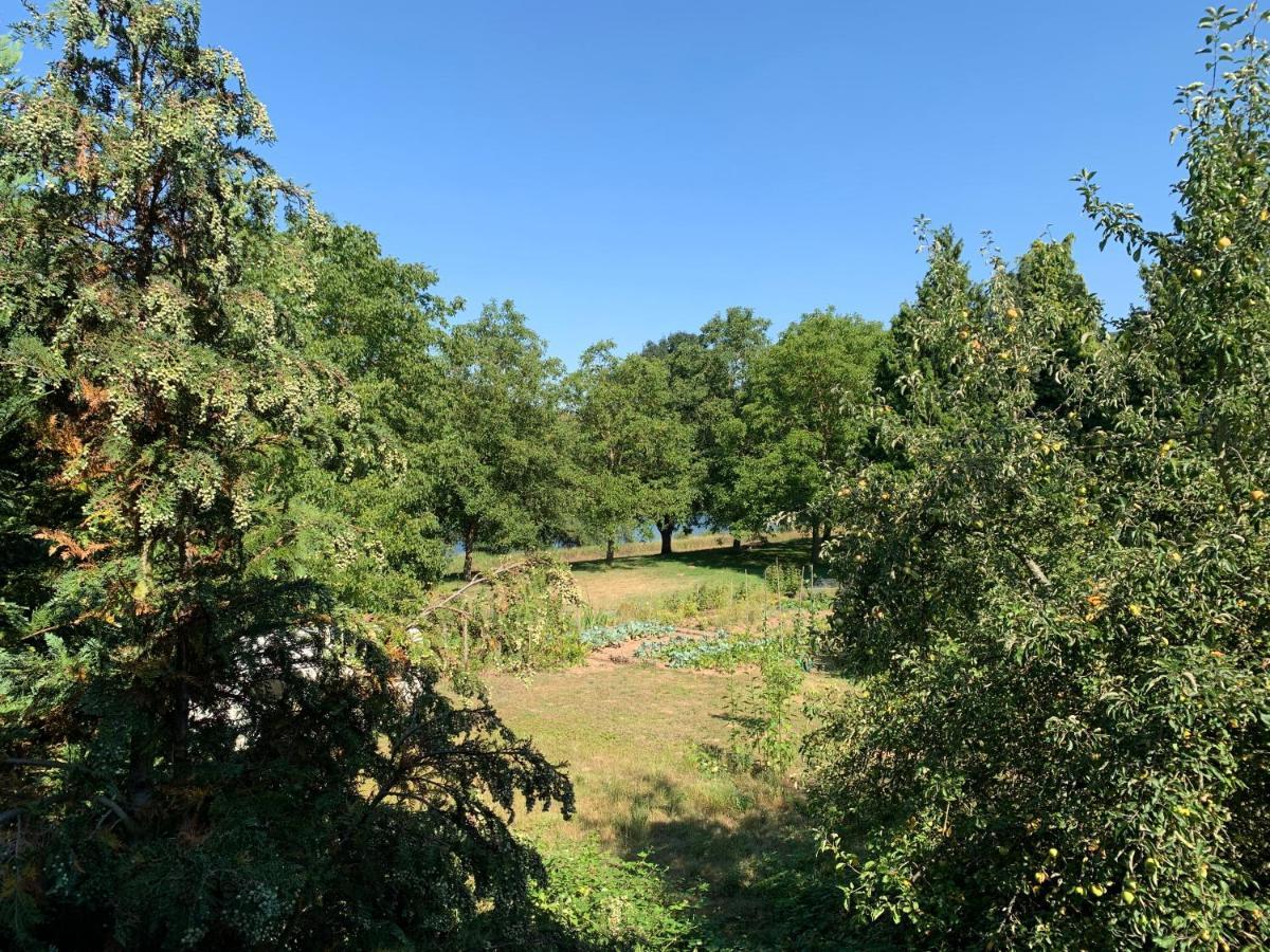 Vias Ferienwohnungen Pünderich Extérieur photo